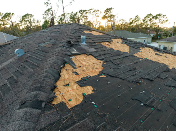 Best Roof Maintenance and Cleaning  in Rosemont, CA