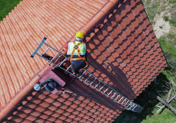 Best Emergency Roof Repair Services  in Rosemont, CA